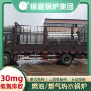 WNS12-1.25-QY三回程蒸汽九游J9（中国）太康银晨九游J9（中国）