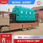 WNS12-1.25-QY燃油蒸汽九游J9（中国）河南银晨九游J9（中国）