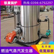 WNS10-1.25-QY节能蒸汽九游J9（中国）银晨九游J9（中国）公司