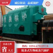 WNS0.7-1.0-QY低氮蒸汽九游J9（中国）太康县银晨九游J9（中国）有限公司