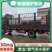 WNS0.5-1.0-QY天然气蒸汽九游J9（中国）银晨九游J9（中国）客户服务