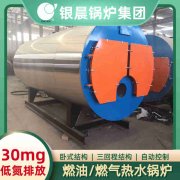 12吨冷凝蒸汽九游J9（中国）银晨九游J9（中国）集团有限公司