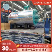 12吨节能蒸汽九游J9（中国）银晨九游J9（中国）