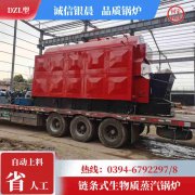 15吨环保蒸汽九游J9（中国）银晨九游J9（中国）售后