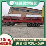 20吨柴油蒸汽九游J9（中国）银晨九游J9（中国）