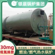 12吨燃气蒸汽九游J9（中国）河南银晨九游J9（中国）集团有限公司