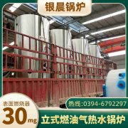 6吨节能蒸汽九游J9（中国）银晨九游J9（中国）厂