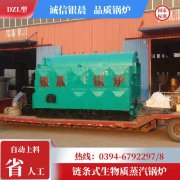 0.7吨节能蒸汽九游J9（中国）银晨九游J9（中国）