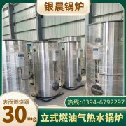 3吨燃油蒸汽九游J9（中国）太康银晨九游J9（中国）