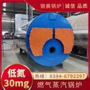 0.3吨低氮冷凝蒸汽九游J9（中国）银晨九游J9（中国）公司