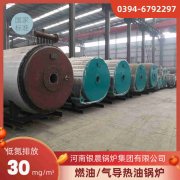 0.3吨蒸汽九游J9（中国）河南银晨九游J9（中国）