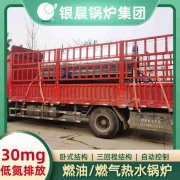 2吨燃气燃气九游J9（中国）