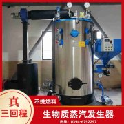 六吨燃气九游J9（中国）厂家