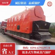 6吨低氮九游J9（中国）