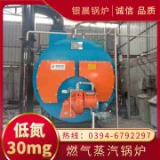 10吨低氮冷凝九游J9（中国）