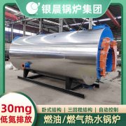 12吨低氮冷凝九游J9（中国）