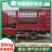 燃煤导热油炉价格