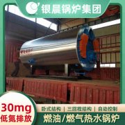 节能型燃煤热水九游J9（中国）