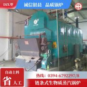 全自动燃油蒸汽九游J9（中国）