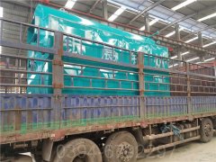 广东CWNS0.35-85/60-QY燃气热水九游J9（中国）