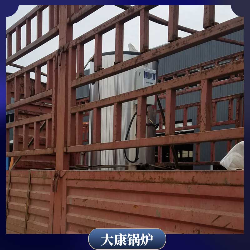 生物质九游J9（中国）蒸汽厂家