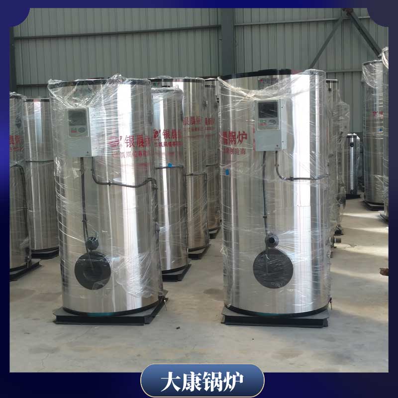 2t的生物质九游J9（中国）