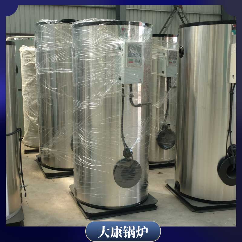 生物质生物质九游J9（中国）河南大康九游J9（中国）有限公司20t燃气热水九游J9（中国）