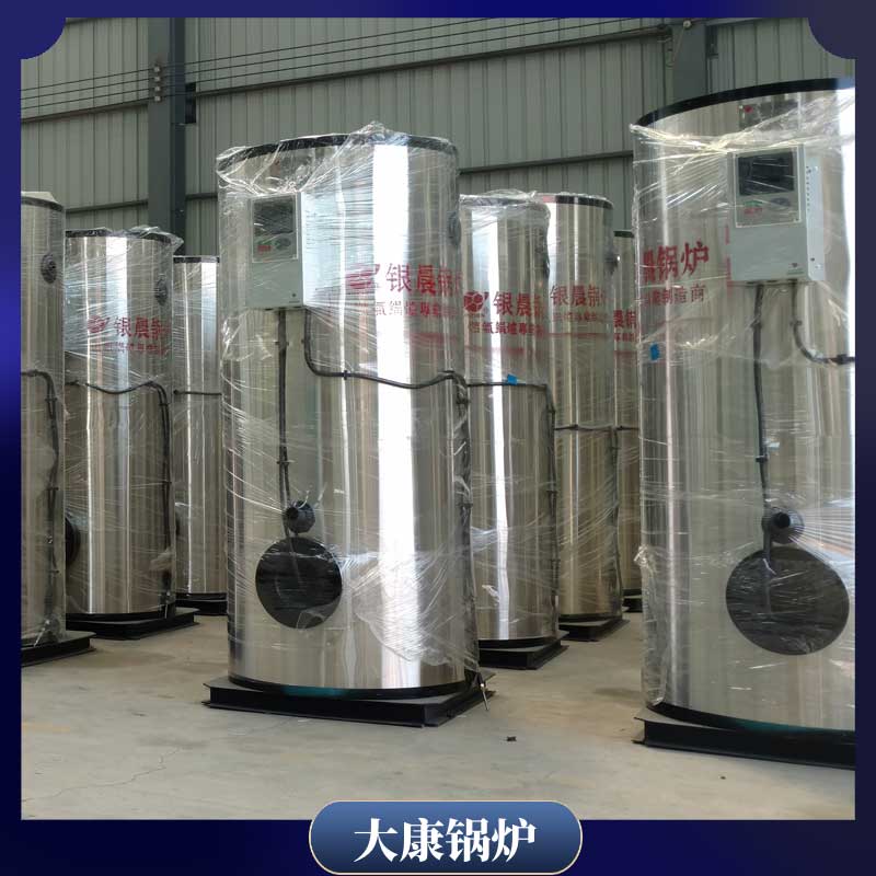 生物质九游J9（中国）3吨