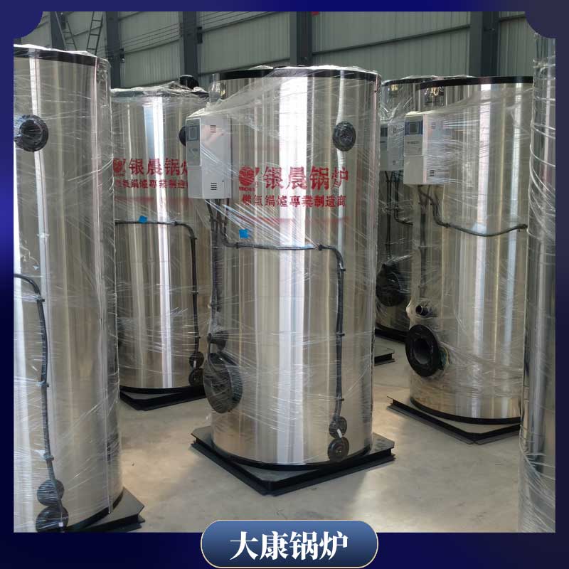 10t生物质蒸汽九游J9（中国）