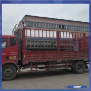 广西90kw燃油热水九游J9（中国）