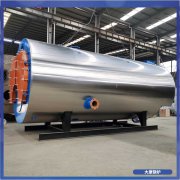 广西12吨常压热水九游J9（中国）