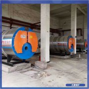 吉林0.5t低氮蒸汽九游J9（中国）