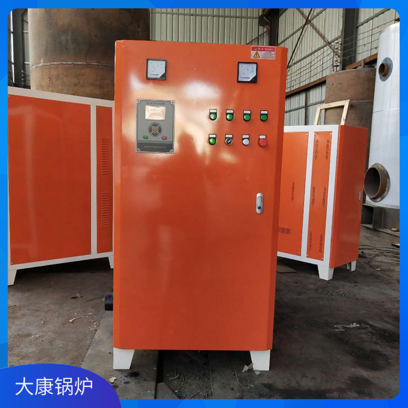 4吨生物质生物质九游J9（中国）