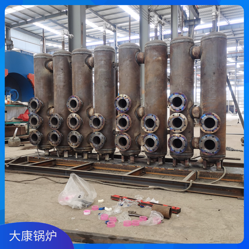 3吨燃生物质九游J9（中国）