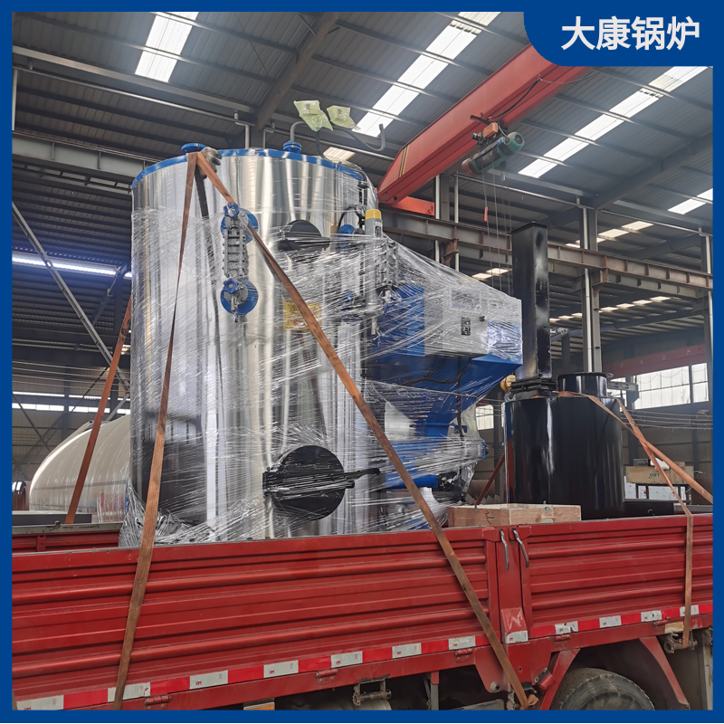 5吨生物质九游J9（中国）