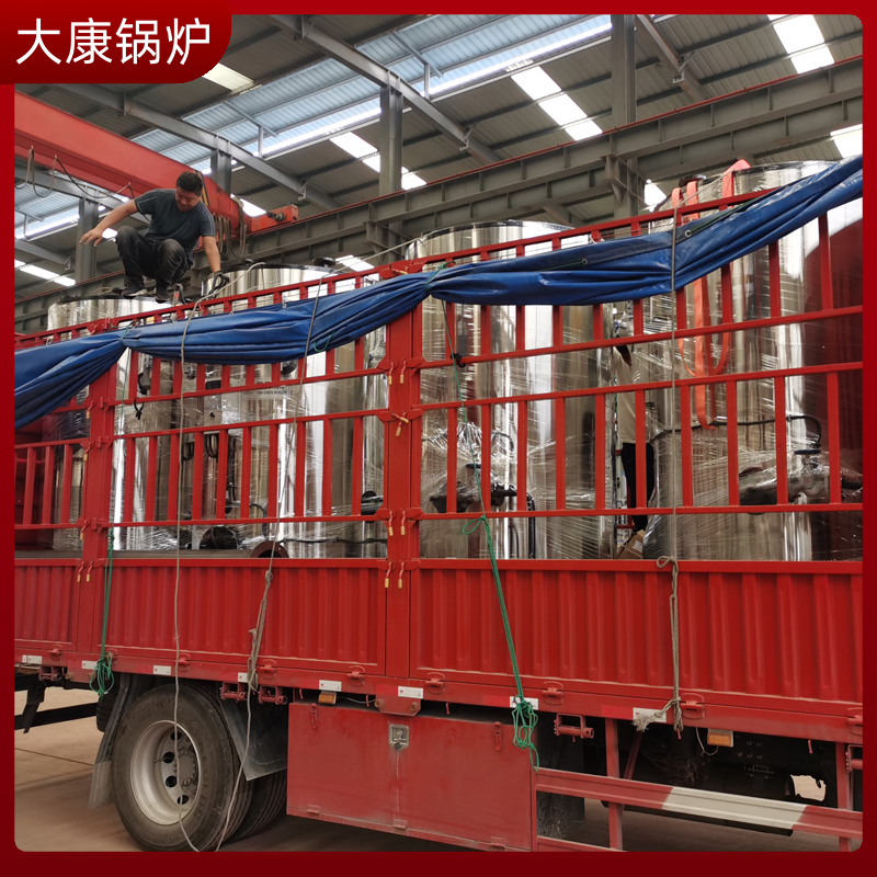 二十吨生物质蒸汽九游J9（中国）