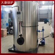 0.2吨燃电蒸汽发生器银晨九游J9（中国）集团大家都在用的