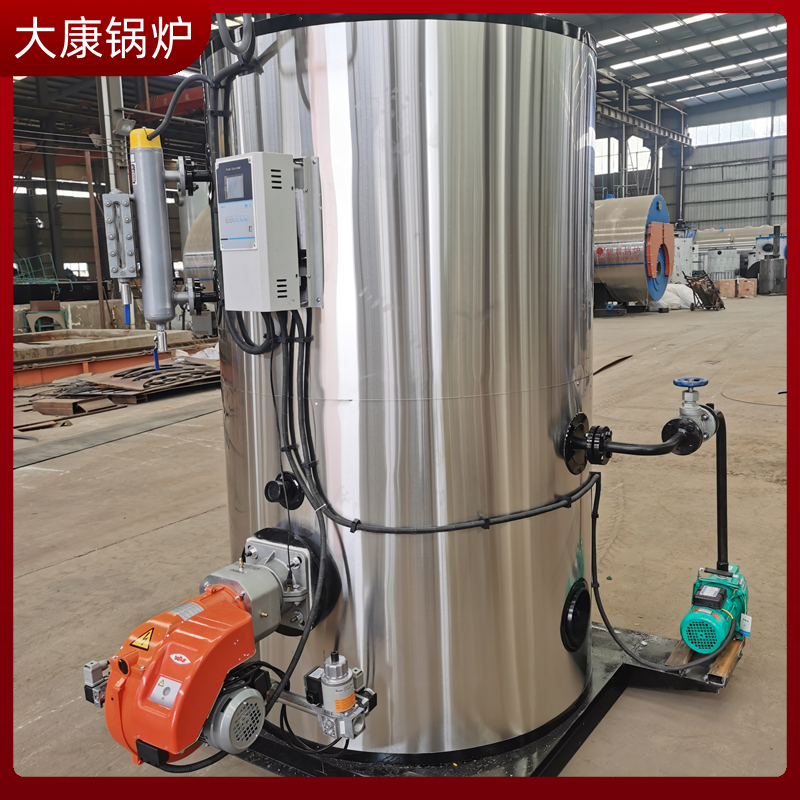 6吨的生物质九游J9（中国）