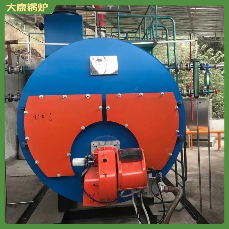 1吨低氮冷凝蒸汽九游J9（中国）