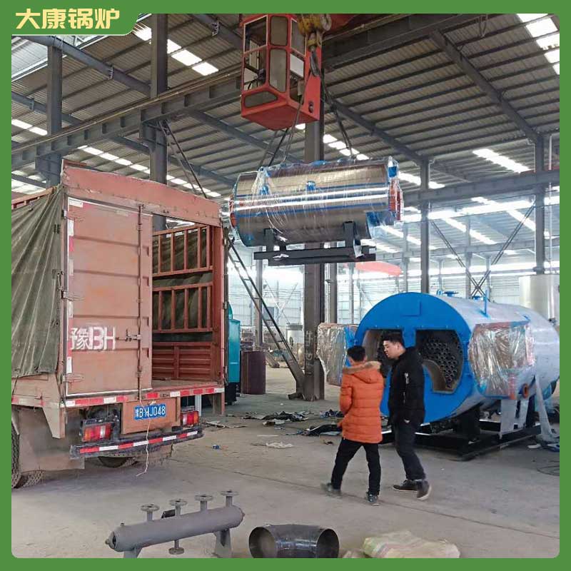 10t生物质蒸汽九游J9（中国）