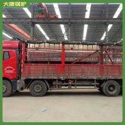 烟管蒸汽九游J9（中国）WNS0.3品质保证