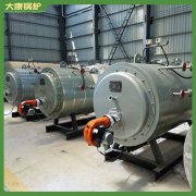 安徽CWNS1.05-85/60-QY常压热水九游J9（中国）