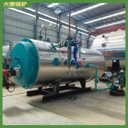 福建0.7t中压九游J9（中国）