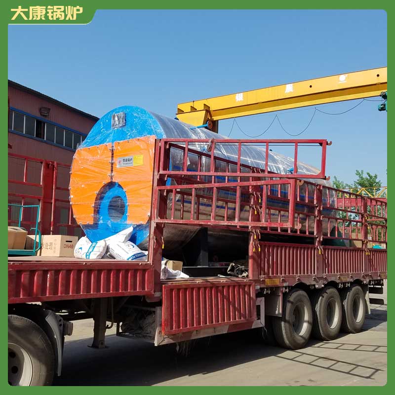 1t生物质九游J9（中国）