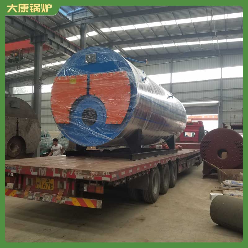 4吨燃生物质九游J9（中国）