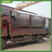 陕西CWNS1.4-85/60-QY燃气热水九游J9（中国）