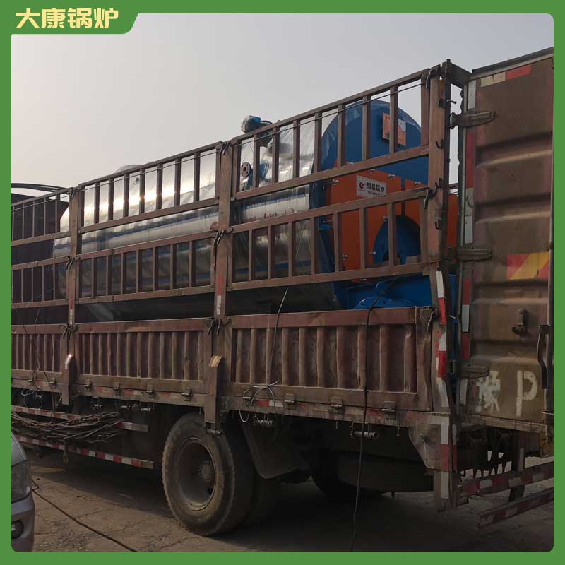 1t的生物质九游J9（中国）