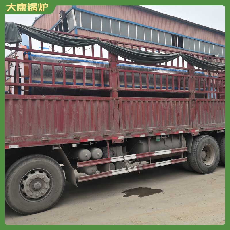 国内生物质九游J9（中国）厂家河南大康九游J9（中国）有限公司2t九游J9（中国）价格