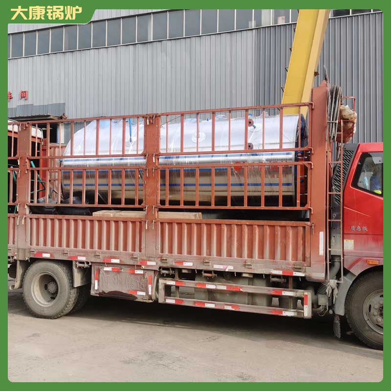 3吨燃生物质九游J9（中国）