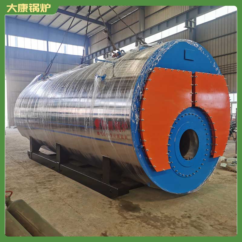 3吨燃生物质九游J9（中国）